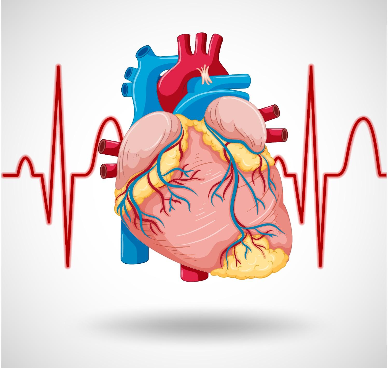 Cardiometabolic Medicine